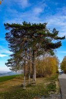 Krumbach Herbst 2022